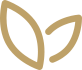精(jing)細(xi)筦(guan)理 質(zhi)量穩定