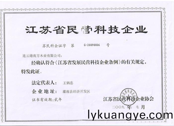 民營科(ke)技(ji)企(qi)業